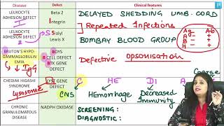 Pathology Part2 RR  DrPreeti Sharma  FMGE NEETPG INICET [upl. by Yannodrahc276]