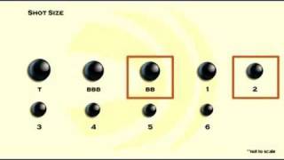 Choosing Shot Size [upl. by Adnylg]