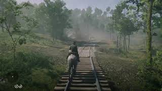 Red Dead Redemption 2 Ambience Searching for Moccasin Orchids Around Butcher Creek [upl. by Anniken]