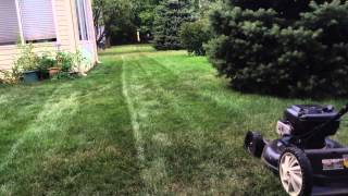 September Lawn Cutting Video at My Grandparents House 2 [upl. by Lyrred]