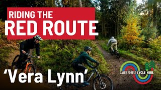 Mountain Biking In Dalby Forest Red Route  Vera Lynn [upl. by Fillbert]