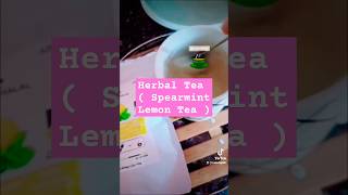 Herbal Tea  Spearmint Lemon Tea [upl. by Nalloh]