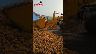 Fengwei Seed Industryquot Fengwei Bai This work has been played sowingseeds sowing foryou automobil [upl. by Margot]