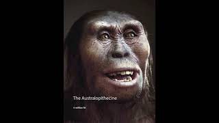 World History Chapter 1 Part 1 The Australopithecines  PREHISTORY [upl. by Airalednac784]