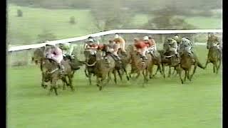 1981 Supreme Novices Hurdle Hartstown [upl. by Sam]