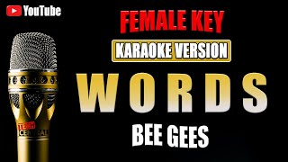 Words  Bee Gees  KARAOKE VERSION  Female Key [upl. by Noiemad262]