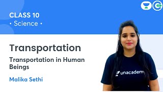 Transportation  Transportation in Human Beings  Class 10  Biology  Malika Sethi [upl. by Aizat]