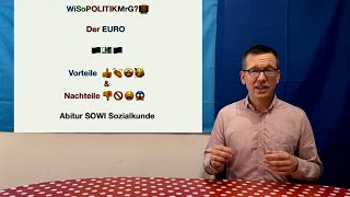 Der Euro Vorteile und Nachteile einer Währungsunion  WiSoPOLITIKMrG 👨‍🏫 Abitur SOWI Sozialkunde [upl. by Seabrook]