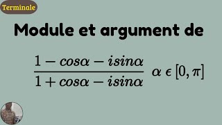 Comment Calculer le module dun nombre complexe  Mathématiques Terminale [upl. by Janene342]