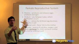 Living Environment Regents 2012 Review Prep Reproduction Development amp Cell Division Lesson 08 [upl. by Aneryc]