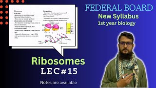 Ribosomes  Ribosomes structure and function  class 11 [upl. by Anuahsed]