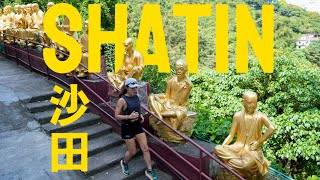 沙田跑步 5個打卡必到景點 Running and Top 5 must see places in SHATIN HONG KONG [upl. by Truc263]