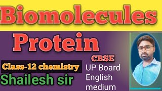 Protein Class12 Biomolecules [upl. by Lennaj]