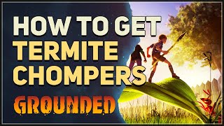 How to get Termite Chompers Grounded [upl. by Frans]