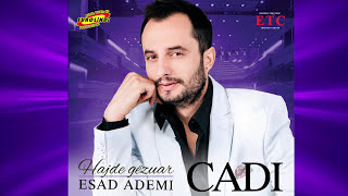 Esad Ademi  Hajde me shuplaka [upl. by Hsinam]