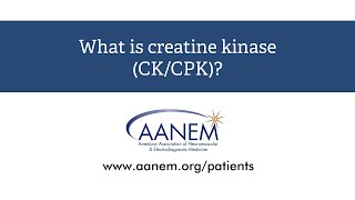 What is creatine kinase [upl. by Ntsuj230]