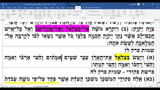 parshat Vayakhel  27 Adar 1 5784 [upl. by Ydaj]