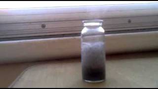 Reaction of Aluminum with Water and Sodium Hydroxide [upl. by Nereen]