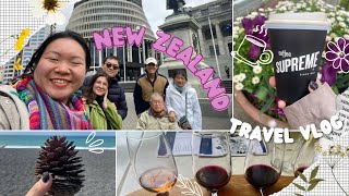 Travel Diaries  Napier amp Wellington New Zealand 🇳🇿 [upl. by Htaeh333]