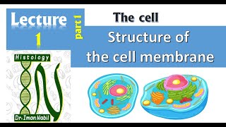 1aStructure of cell membranePart1 Lipids and Proteins [upl. by Ttemme742]