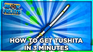 How To Get Tushita Under 3 Minutes  Blox Fruit Tushita Puzzle [upl. by Adehsor]