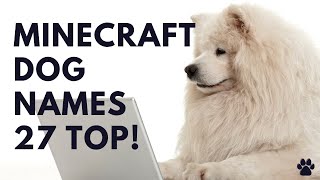 🎮 Minecraft Dog Names  27 TOP amp BEST amp CUTE Ideas [upl. by Artima]