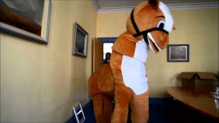 Sheridan Insurances Charity Panto Horse [upl. by Haleehs361]