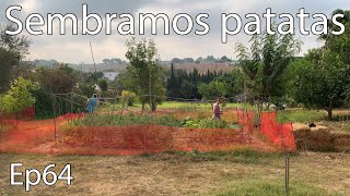 Retomamos el HUERTO  Sembramos PATATAS [upl. by Grath]