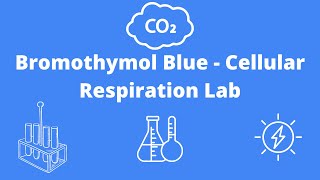 Bromothymol Blue [upl. by Eenyaj]