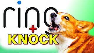 Ring Doorbell for dogs with knocking [upl. by Yelnik736]