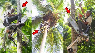 Tree Climbing Gear  Coconut Tree  Palm Tree Climbing Machine  Tree Climbing Bike [upl. by Yemorej]