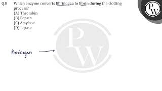 Which enzyme converts fibrinogen to fibrin during the clotting process [upl. by Norry640]