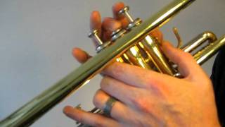 How to play the Trumpet F Sharp Major Scale Concert E [upl. by Trey]