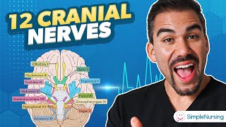 The 12 Cranial Nerves  Head amp Neck Health Assessment for Nurses [upl. by Alek319]