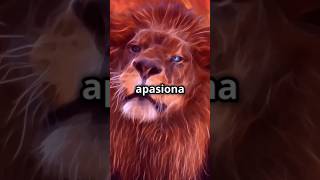 ¡Leones CAZANDO con una fuerza INCREIBLE shorts animales naturaleza [upl. by Nnairac]