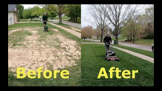 Step by Step Guide to OVERSEEDING Better looking lawn FAST [upl. by Takeshi]