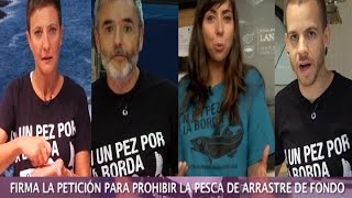 Los famosos luchan contra la pesca de arrastre [upl. by Reseta]