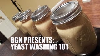 Yeast Harvesting and Washing 101  Beer Geek Nation Homebrew Videos [upl. by Gaidano]