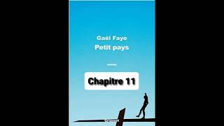 11  Petit Pays  Gael Faye  aide à la lecture  Chapitre 11 [upl. by Affay]