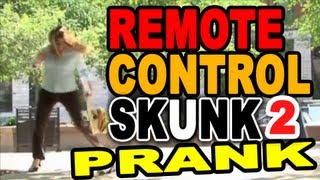 Remote Control Skunk two by Tom Mabe [upl. by Eirrem]