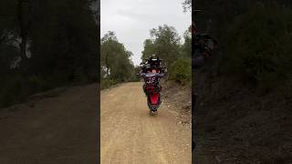 Africa Twin wheelie 😳🔥 [upl. by Funk]