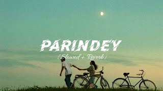 Parindey Slowed  Reverb  B Praak  New Punjabi Song 2024 [upl. by Gies377]