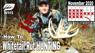 Whitetail Rut Hunt Timing Tips [upl. by Aivyls735]