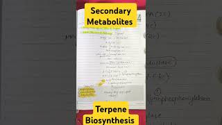 Secondary Metabolites• Biosynthesis of 5 Carbon Unit of Terpene• Acetate Mevalonate Pathway• CSIR [upl. by Auqenwahs]