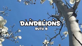 Dandelions  slowreverb  Ruth B [upl. by Llerod439]