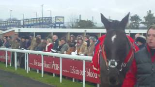 Denman enters the pre parade ring Newbury Hennessy 2010 [upl. by Cassandra128]