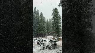 Snowfall in Hyalite Canyon  28 October 2024 [upl. by Raymond668]