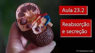 Videoaula 232 Reabsorção e secreção [upl. by Erena780]