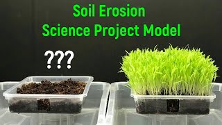 soil erosion  soil erosion model with real plants  soil erosion prevention  soil conservation [upl. by Zrike]