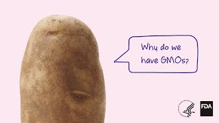 Why Do We Have GMOs [upl. by Kuth]